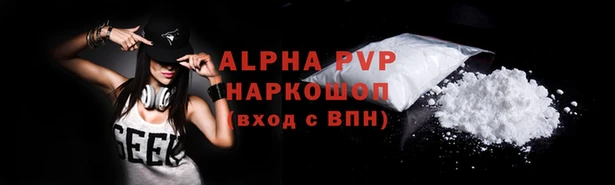 a pvp Бородино